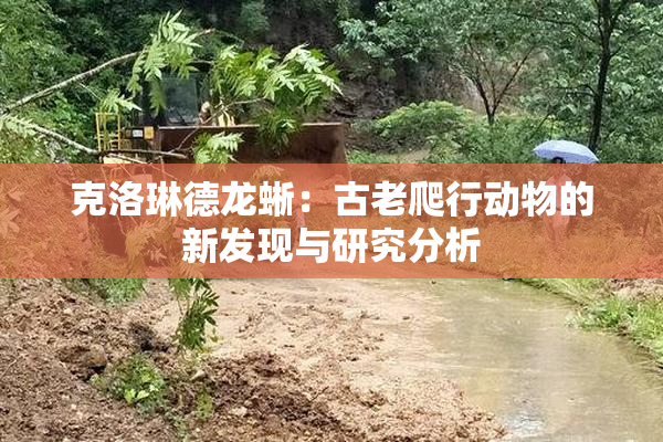 克洛琳德龙蜥：古老爬行动物的新发现与研究分析