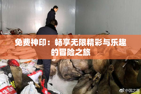 免费神印：畅享无限精彩与乐趣的冒险之旅