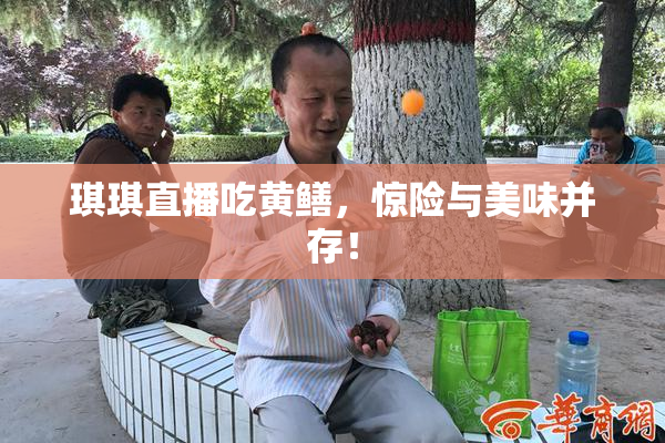 琪琪直播吃黄鳝，惊险与美味并存！