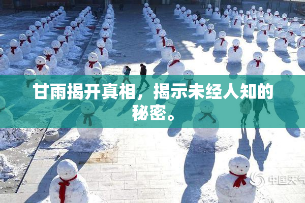 甘雨揭开真相，揭示未经人知的秘密。