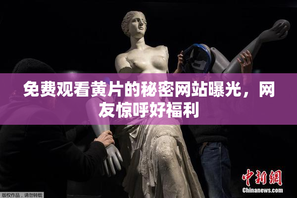 免费观看黄片的秘密网站曝光，网友惊呼好福利