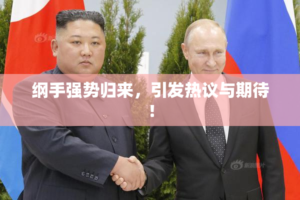 纲手强势归来，引发热议与期待！