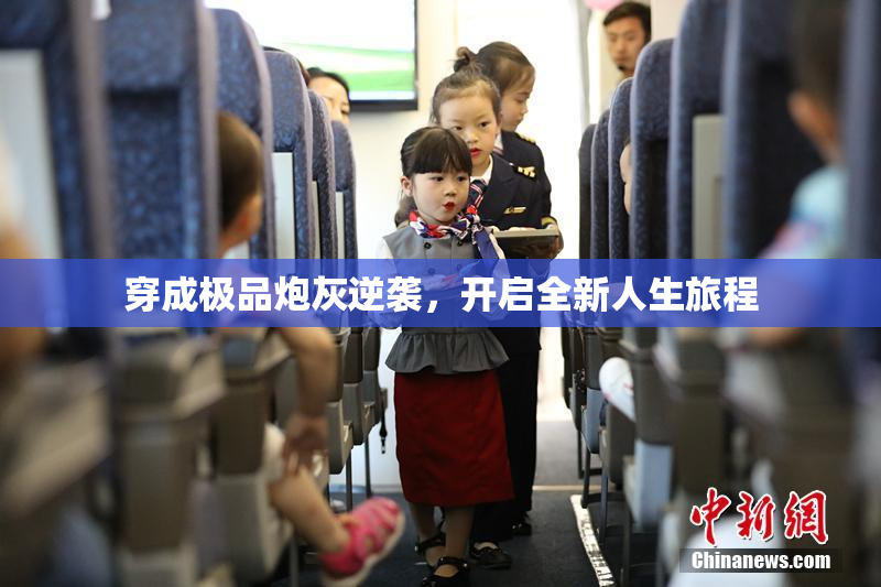 穿成极品炮灰逆袭，开启全新人生旅程