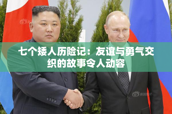 七个矮人历险记：友谊与勇气交织的故事令人动容