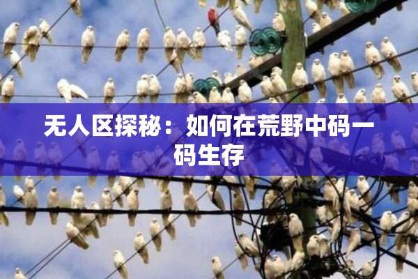 无人区探秘：如何在荒野中码一码生存