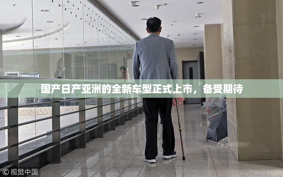 国产日产亚洲的全新车型正式上市，备受期待