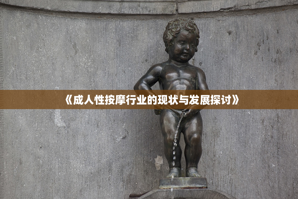 《成人性按摩行业的现状与发展探讨》