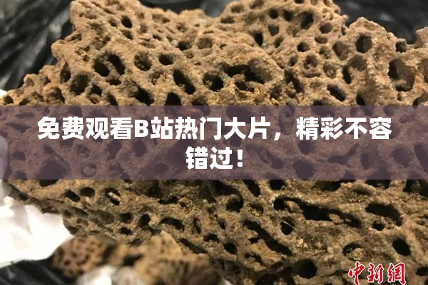 免费观看B站热门大片，精彩不容错过！
