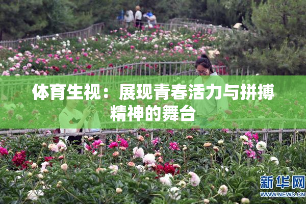 体育生视：展现青春活力与拼搏精神的舞台