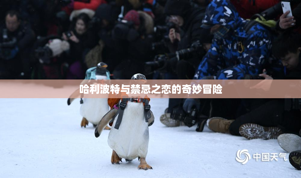 哈利波特与禁忌之恋的奇妙冒险