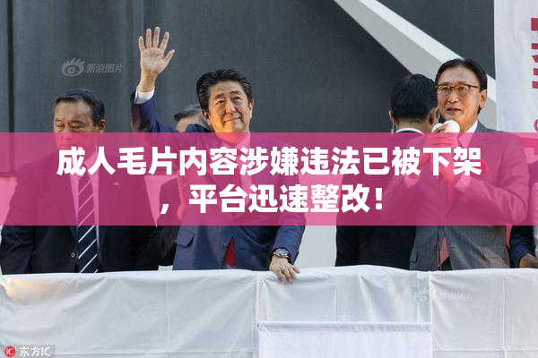 成人毛片内容涉嫌违法已被下架，平台迅速整改！
