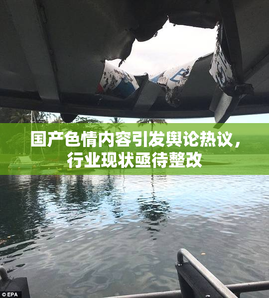 国产色情内容引发舆论热议，行业现状亟待整改