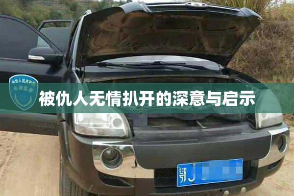 被仇人无情扒开的深意与启示
