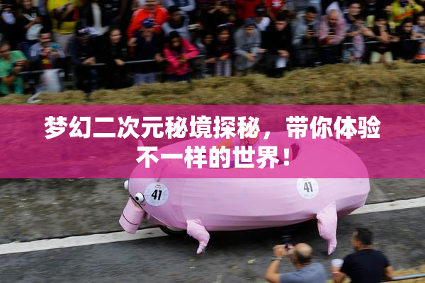 梦幻二次元秘境探秘，带你体验不一样的世界！