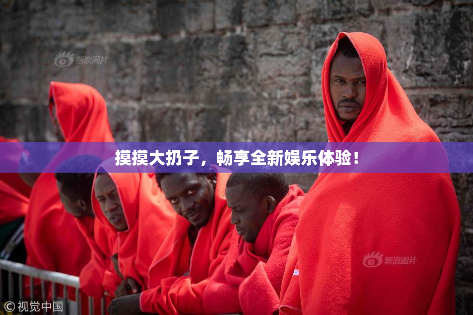摸摸大扔子，畅享全新娱乐体验！