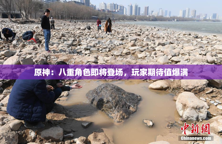 原神：八重角色即将登场，玩家期待值爆满