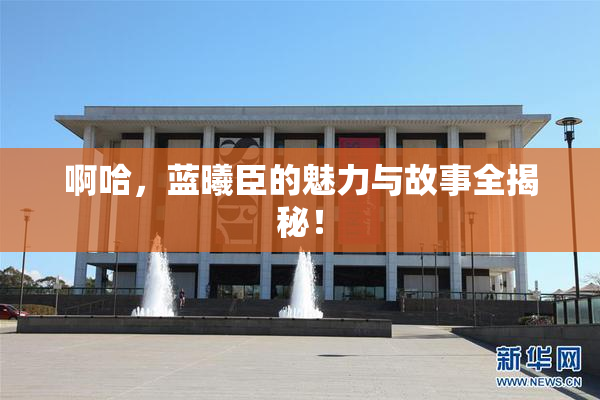 啊哈，蓝曦臣的魅力与故事全揭秘！