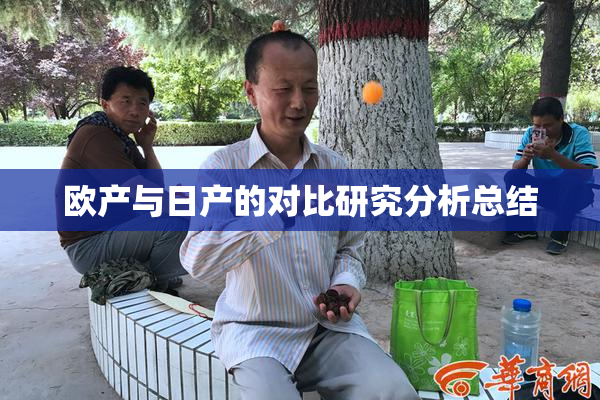 欧产与日产的对比研究分析总结