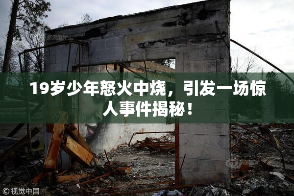 19岁少年怒火中烧，引发一场惊人事件揭秘！