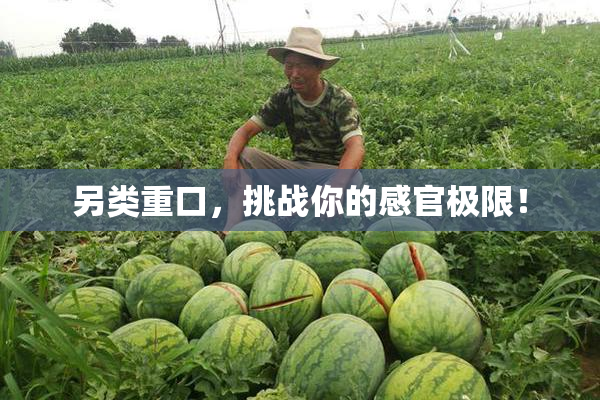另类重口，挑战你的感官极限！