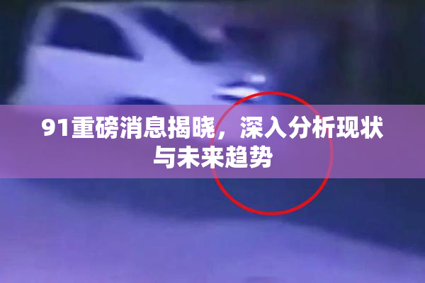 91重磅消息揭晓，深入分析现状与未来趋势