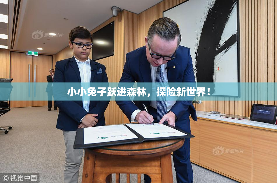 小小兔子跃进森林，探险新世界！