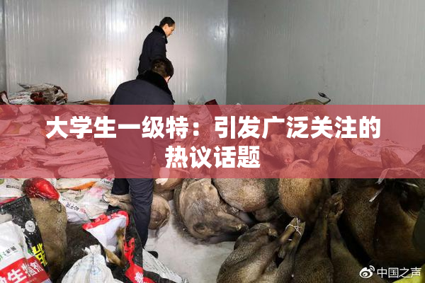大学生一级特：引发广泛关注的热议话题