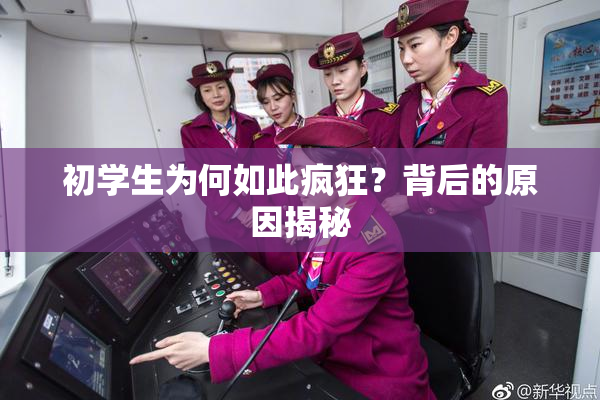 初学生为何如此疯狂？背后的原因揭秘