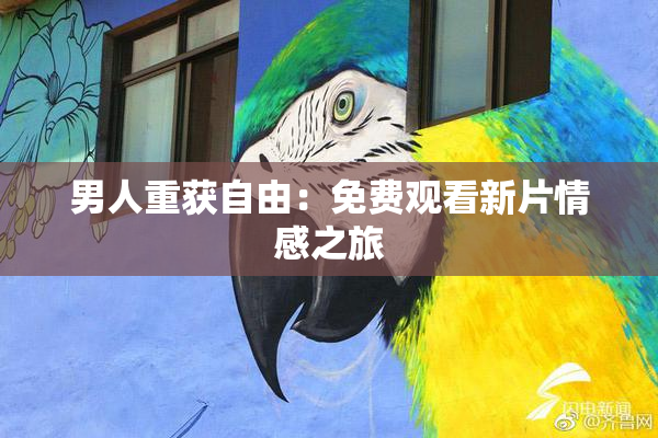 男人重获自由：免费观看新片情感之旅