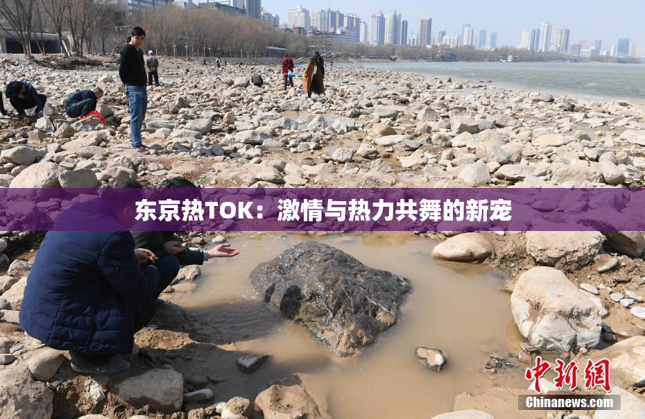 东京热TOK：激情与热力共舞的新宠