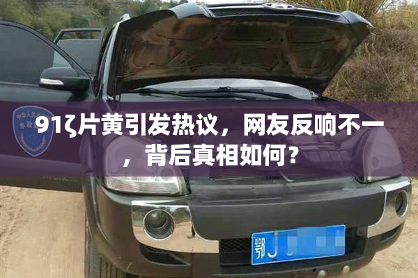 91ζ片黄引发热议，网友反响不一，背后真相如何？