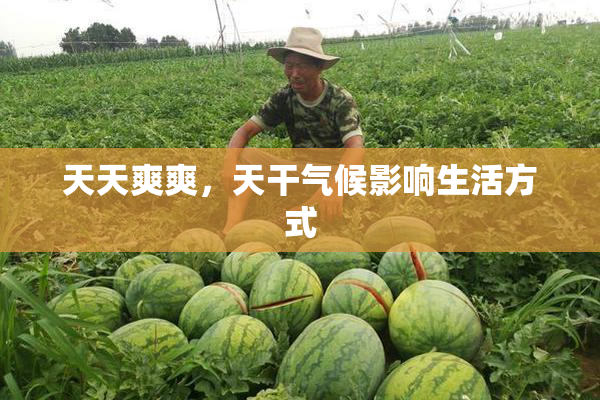 天天爽爽，天干气候影响生活方式