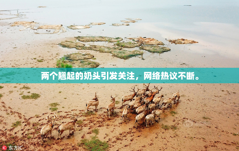 两个翘起的奶头引发关注，网络热议不断。