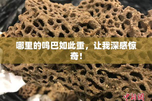 哪里的鸣巴如此重，让我深感惊奇！