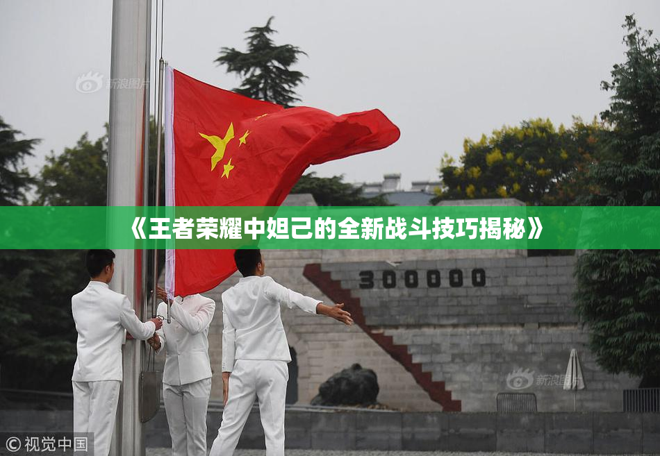《王者荣耀中妲己的全新战斗技巧揭秘》