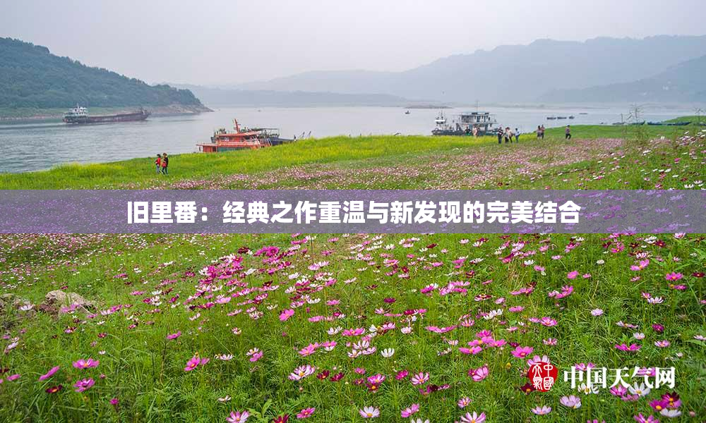 旧里番：经典之作重温与新发现的完美结合