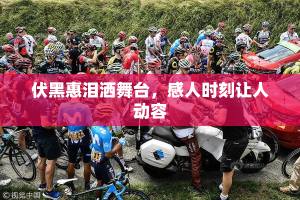 伏黑惠泪洒舞台，感人时刻让人动容