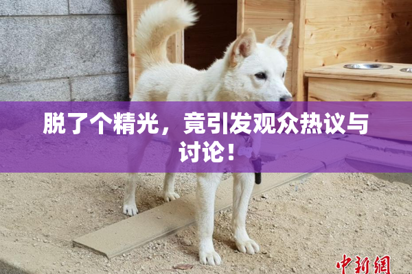 脱了个精光，竟引发观众热议与讨论！