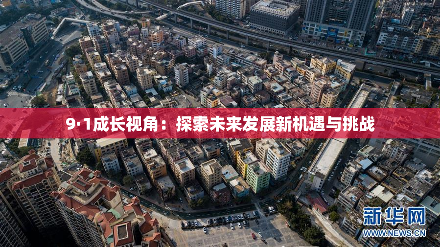 9·1成长视角：探索未来发展新机遇与挑战