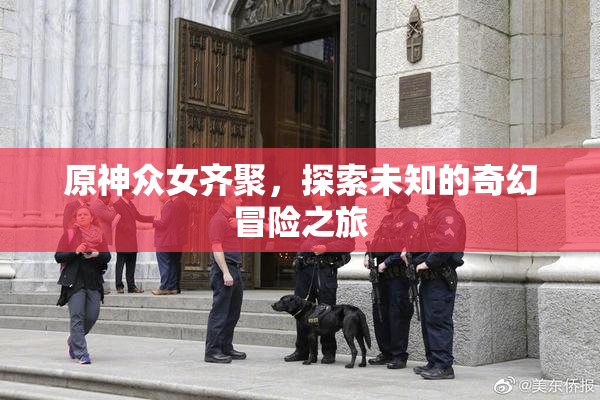 原神众女齐聚，探索未知的奇幻冒险之旅