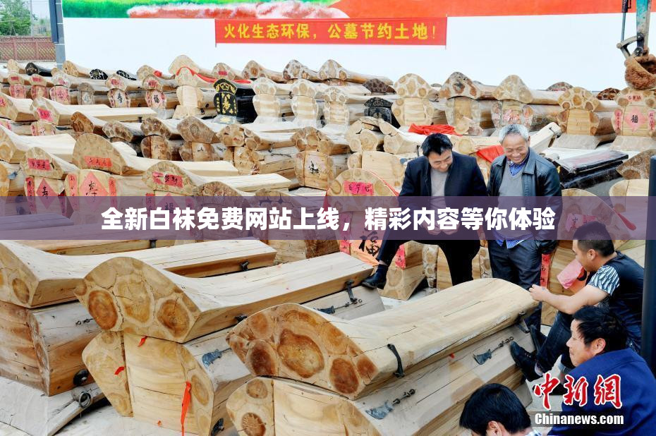 全新白袜免费网站上线，精彩内容等你体验