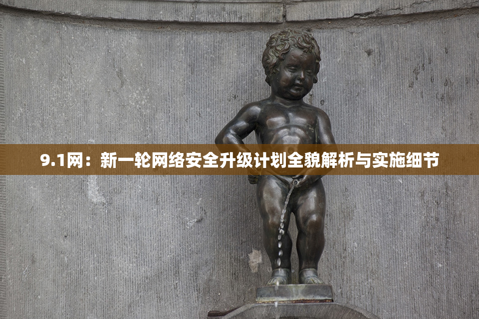 9.1网：新一轮网络安全升级计划全貌解析与实施细节