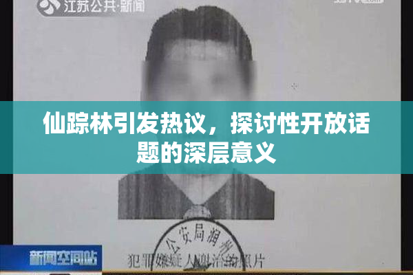 仙踪林引发热议，探讨性开放话题的深层意义