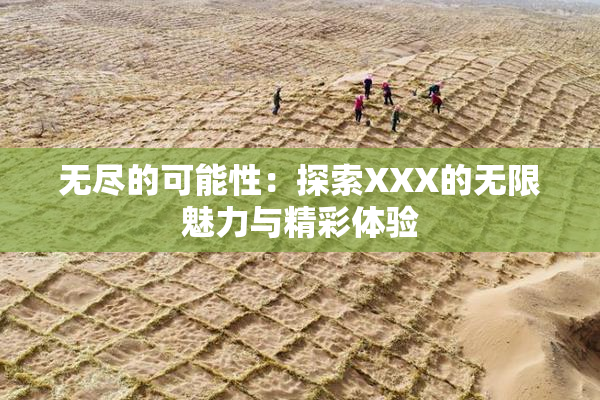 无尽的可能性：探索XXX的无限魅力与精彩体验
