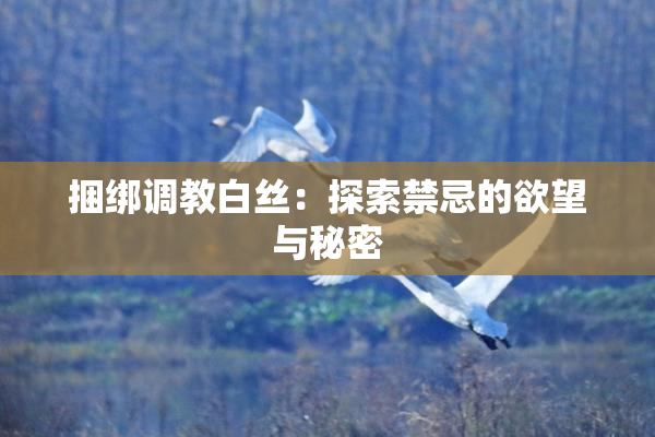 捆绑调教白丝：探索禁忌的欲望与秘密