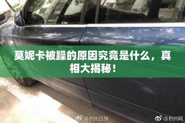 莫妮卡被躁的原因究竟是什么，真相大揭秘！