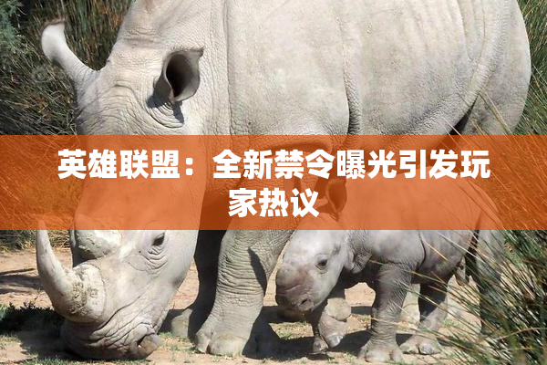 英雄联盟：全新禁令曝光引发玩家热议
