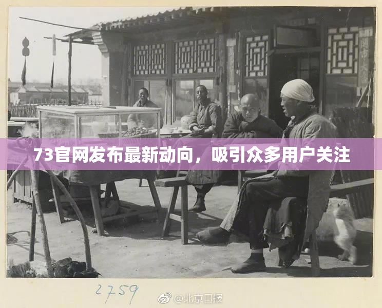 73官网发布最新动向，吸引众多用户关注