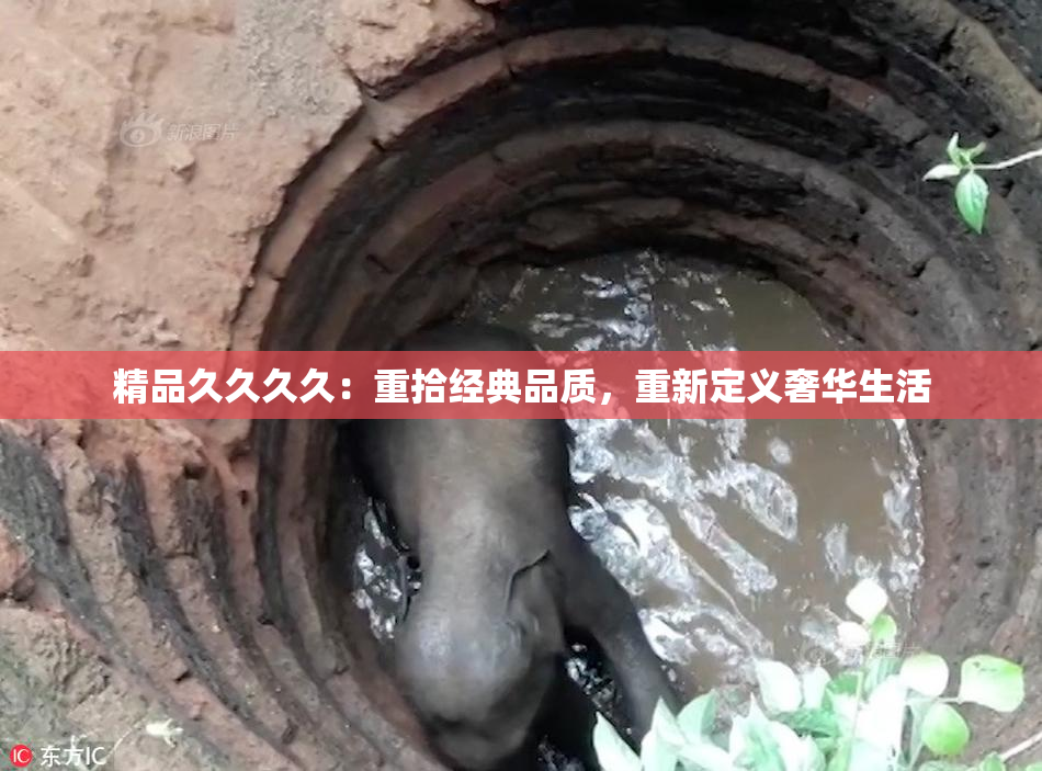 精品久久久久：重拾经典品质，重新定义奢华生活