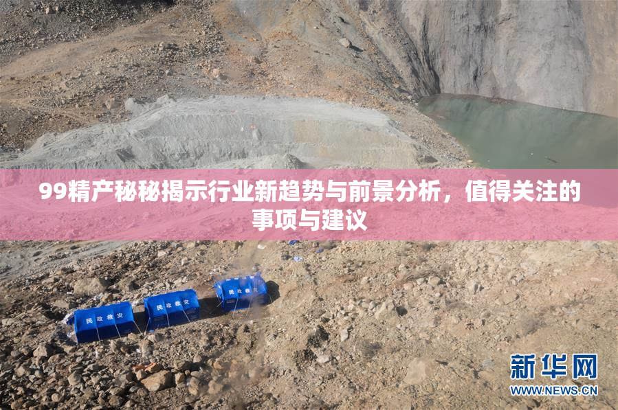 99精产秘秘揭示行业新趋势与前景分析，值得关注的事项与建议